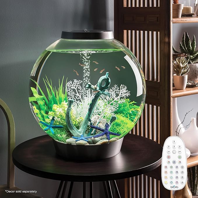 biOrb Classic 60 Acrylic 16-Gallon Aquarium with Multi-Color Remote-Controlled LED Lights Modern Tank for Tabletop Display, Silver biOrb