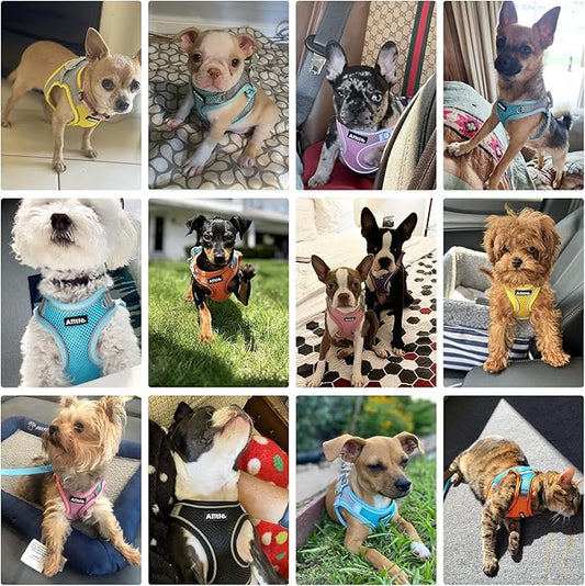 AIITLE Dog Harness, Spring No-Pull Cat Harness with a Leash, Adjustable Reflective Dog Vest, Cat Harness Escape Proof, Outdoor Walking, Camping for Extra Small Dogs and House Cats Yellow XXXS AIITLE-FORPETSBETTERLIFE
