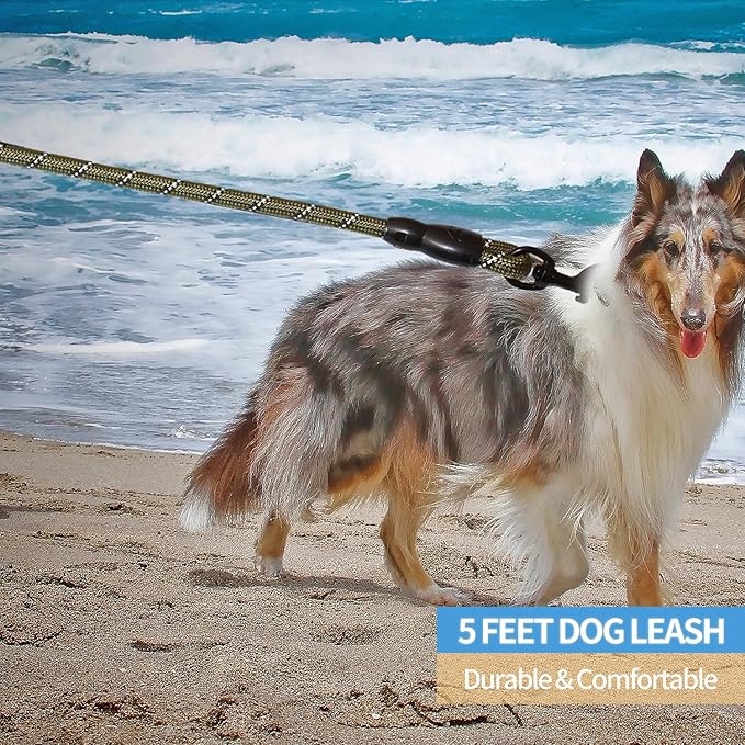 BAAPET 2/4/5/6 FT Dog Leash with Comfortable Padded Handle and Highly Reflective Threads for Small Medium and Large Dogs (5FT-1/2'', Olive Green) BAAPET