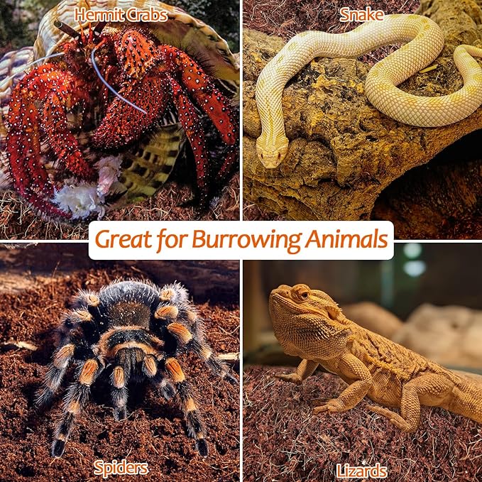 Riare 2 Pack Natural Coconut Fiber Substrate for Reptile- Premium Compressed Coconut Husk Terrarium Bedding for Reptile, Tortoise, Frogs, Snakes Hermit Crabs, Burrowing Animals Riare