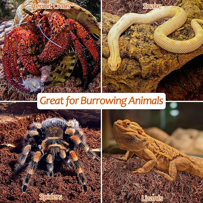 Riare 2 Pack Natural Coconut Fiber Substrate for Reptile- Premium Compressed Coconut Husk Terrarium Bedding for Reptile, Tortoise, Frogs, Snakes Hermit Crabs, Burrowing Animals Riare