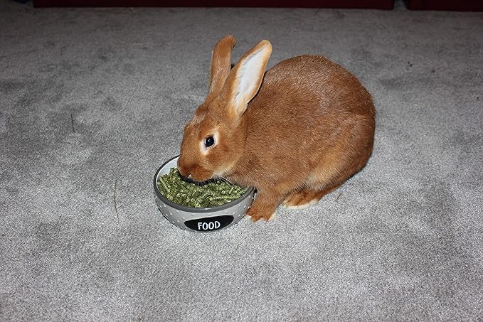 | Alfalfa Hay Food | Small Pet | Young and Adult | Pellets | 5 Pounds FAMILY+FARM+AND+FEED