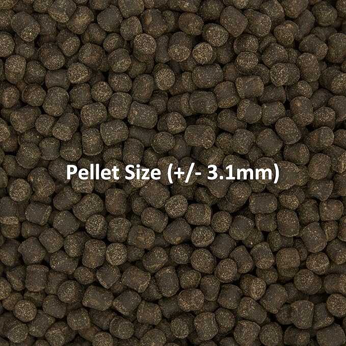 Ocean Nutrition Formula Two Pellets - Fish Food for Herbivorous & Omnivorous Marine Tropical Fish, High Protein(40%) - 7 oz (200 g) Medium Pellets OceanNutrition