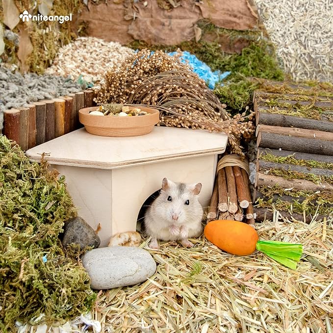 Niteangel Birch Chamber-Maze Hamster Hideout - Small Pets Woodland House Habitats Decor for Hamster Mice Gerbils Mouse Niteangel