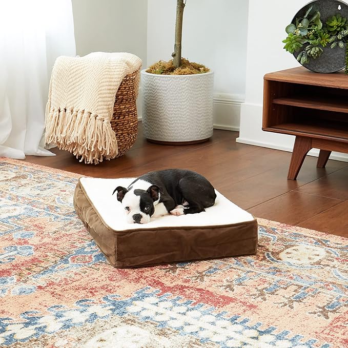 Happy Hounds Oscar Rectangle Orthopedic Foam Sherpa Dog Bed, Extra Small (24 x 18 in.), Mocha - PAWPICO