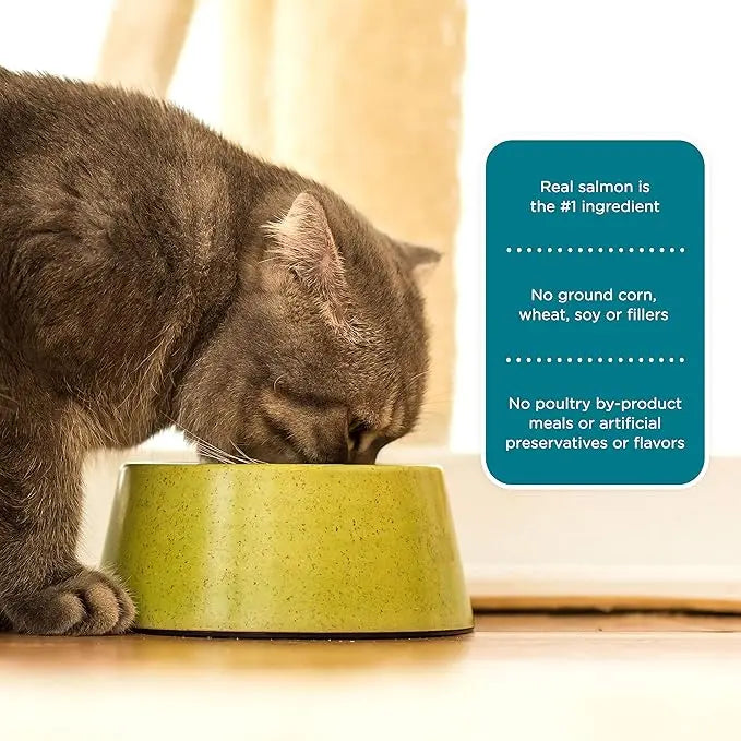 Nutrish Rachael Ray Premium Natural Dry Cat Food with Added Vitamins, Minerals & Other Nutrients, Real Salmon & Brown Rice Recipe, 6 Pound Bag - PAWPICO