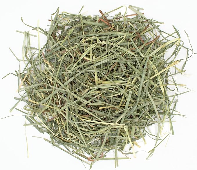 Oxbow Animal Health Orchard Grass Hay - All Natural Grass Hay for Chinchillas, Rabbits, Guinea Pigs, Hamsters & Gerbils - 15 oz. OxbowAnimalHealth