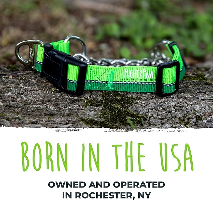 Mighty Paw Martingale Dog Collar 2.0 | Trainer Approved Limited Slip Collar with Stainless Steel Chain & Heavy Duty Buckle - Modified Cinch for Gentle & Effective Pet Training - S/M, Green MightyPaw
