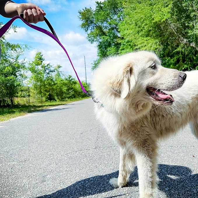 Joytale Dog Leash Heavy Duty for Large Dogs That Pull, Double Handle for Traffic Control, Double-Sided Reflective Leashes for Large Medium Dogs Night Safety, 6FT, Purple Joytale