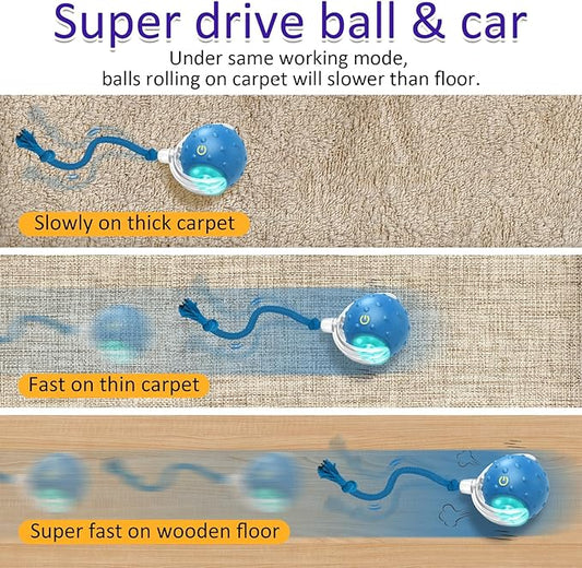 Interactive Cat Toys Ball for Indoor Cats Fast Rolling on Carpet, Chirping & Motion Activate Cat Toys (Blue) - PAWPICO