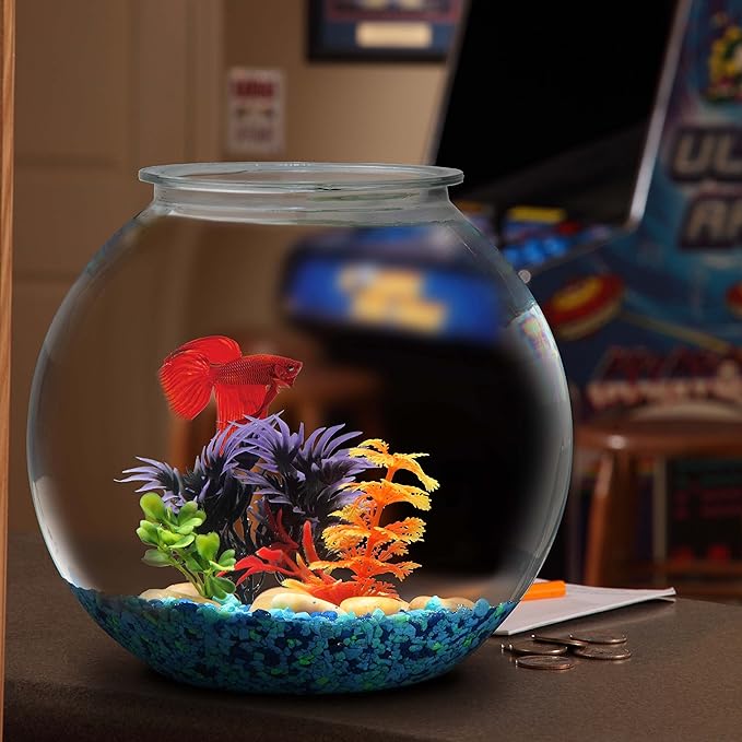 Aquatic Wonder 2 Gallon Fish Bowl, Round Crystal Clear Plastic is Break-Resistant and Light Weight. Ideal for Betta Fish Aquarium, Home décor and Party Drinks Hank+%26+Harley