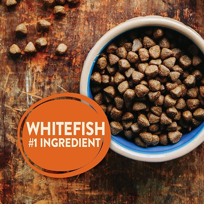 Wellness CORE Grain-Free High-Protein Dry Dog Food, Natural Ingredients, Made in USA with Real Meat, All Breeds, For Adult Dogs (Ocean Whitefish, Herring & Salmon, 26-Pound Bag) - PAWPICO