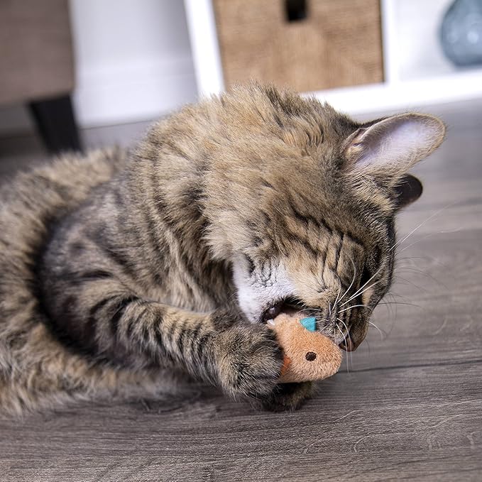 SmartyKat Chickadee Chirp Electronic Sound Cat Toy, Contains Catnip, Battery Powered - Light Brown, One Size - PAWPICO