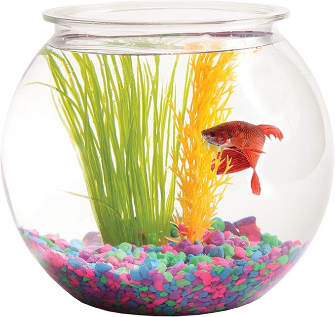 Aquatic Wonder 2 Gallon Fish Bowl, Round Crystal Clear Plastic is Break-Resistant and Light Weight. Ideal for Betta Fish Aquarium, Home décor and Party Drinks Hank+%26+Harley