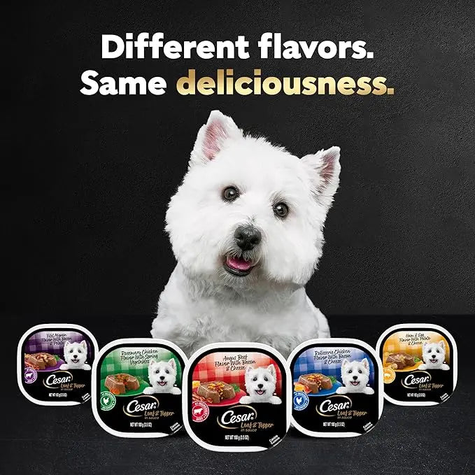 CESAR Soft Wet Dog Food Loaf in Sauce Rotisserie Chicken Flavor with Bacon & Cheese and Filet Mignon Flavor with Bacon & Potato Variety Pack, (12) 3.5 oz. Easy Peel Trays, Pack of 2 - PAWPICO