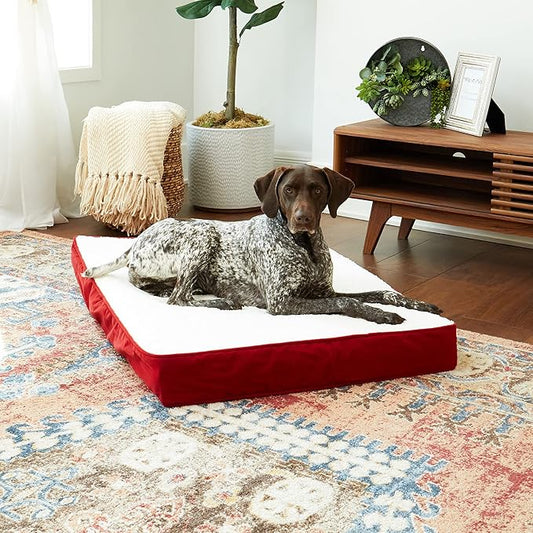 Happy Hounds Oscar Rectangle Orthopedic Foam Sherpa Dog Bed, Medium (42 x 30 in.), Red - PAWPICO