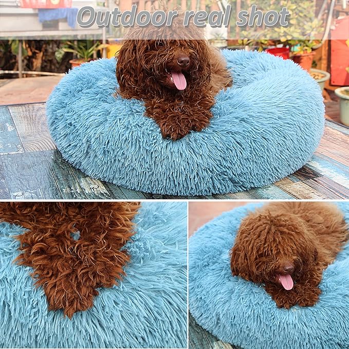 Small Dog Donut Bed for Small Dogs Machine Washable,Calming Donut Blue Dog Bed for Small Puppy with Anxiety,with Fluffy Soft and Comfy Faux Fur Cuddler Pet Bed for Small Pets - PAWPICO