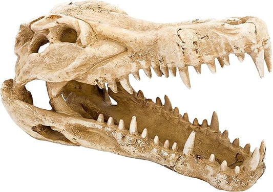 Penn-Plax Crocodile Skull Animal Resin Ornament, Safe for Saltwater and Freshwater Aquaruims (RR1065) Penn-Plax