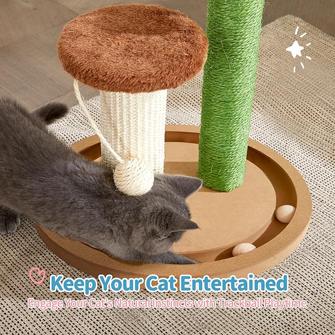 Made4Pets Cat Scratching Post, 21.7" Cactus Kitten Scratcher for Indoor Cats, Mushroom Cute Cat Tree with Sisal Scratch Post, Interactive Game Track Balls with Sturdy Wood Base for Small Kitty - PAWPICO