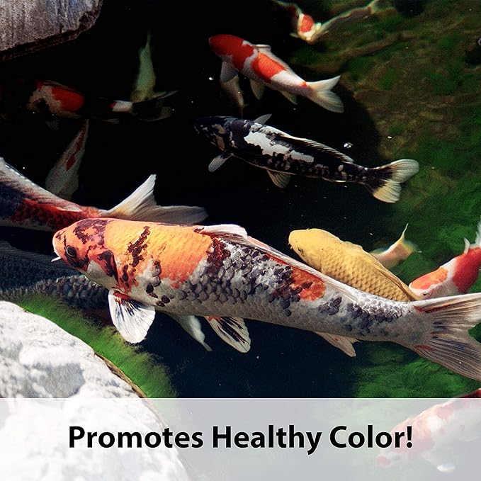 Kaytee Koi's Choice Koi Floating Fish Food, 10 Pound (Pack of 2) Kaytee