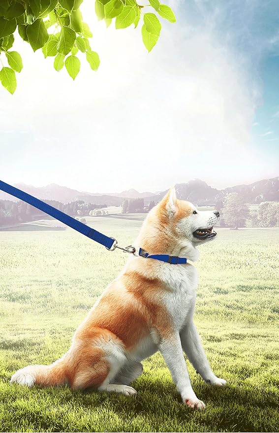 15ft 20ft 30ft 40ft 50ft Long Dog/Puppy Lead Obedience Recall Training Dog Leashes for Small Medium Dogs Camping, Training, Play, or Backyard (15 FT, Blue) PETGOGO