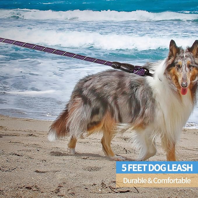 BAAPET 2/4/5/6 FT Dog Leash with Comfortable Padded Handle and Highly Reflective Threads for Small Medium and Large Dogs (5FT-1/2'', Black Purple) - PAWPICO