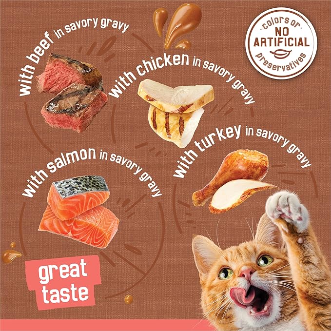 Purina Friskies Extra Gravy Wet Cat Food Chunky 24ct Variety Pack (With Chicken, Turkey, Salmon, Beef) - (Pack of 24) 5.5 oz. Cans - PAWPICO