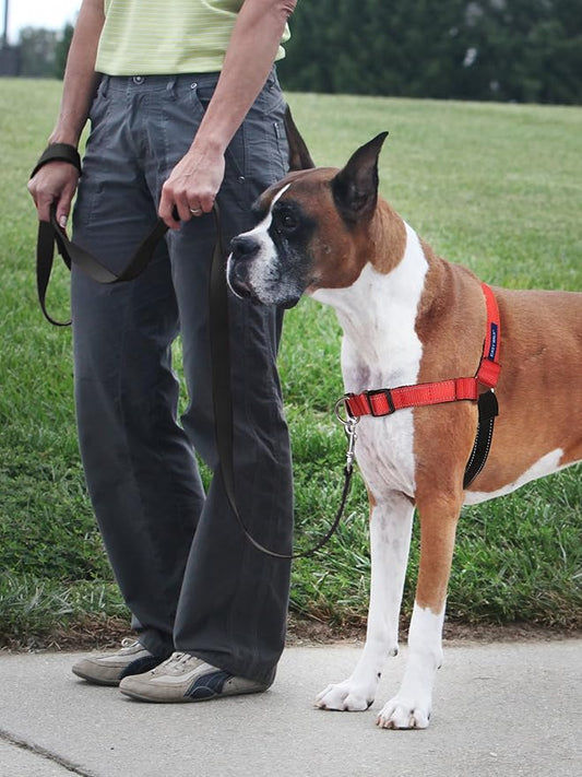 PetSafe Easy Walk Deluxe Dog Harness, No Pull Dog Harness – Perfect for Leash & Harness Training – Stops Pets from Pulling and Choking on Walks – Small, Rose PetSafe