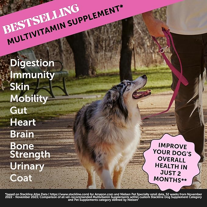 Pet Honesty Dog Multivitamin - 10 in 1 Dog Vitamins for Health & Heart - Fish Oil for Dogs, Glucosamine, Probiotics, Omega Fish Oil - Dog Vitamins and Supplements for Skin and Coat (Chicken 180 ct) PetHonesty