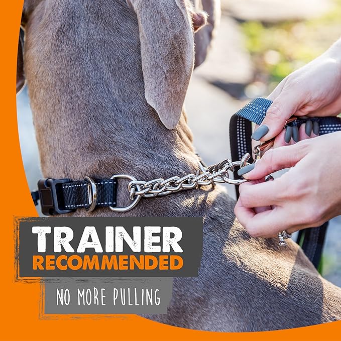 Mighty Paw Martingale Dog Collar 2.0 | Trainer Approved Limited Slip Collar with Stainless Steel Chain & Heavy Duty Buckle - Modified Cinch Collar for Gentle & Effective Pet Training - Large, Black MightyPaw