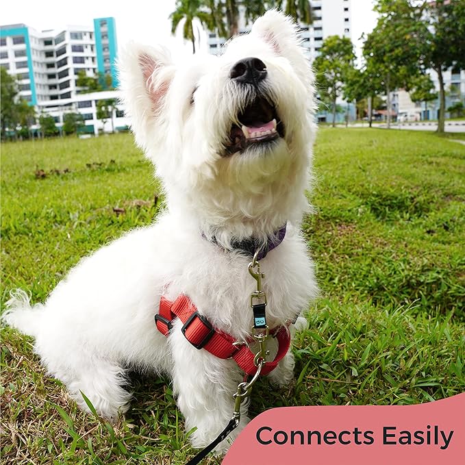 Gentle Creatures Collar Companion - Mini to Small Dogs Collar Backup Clip for Dog Harness, Prong Collar, Pinch Collar, Gentle Lead - Double Ended Backup Clasp - Harness to Collar Safety Clip GentleCreatures