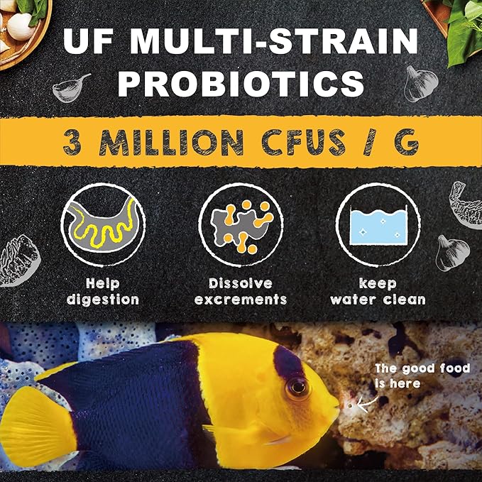 Ultra Fresh Marine Fish Food, 75% Sword Prawns + Squids, Natural Protein, Color Enhancement, for Small Saltwater Fish, Marine Shrimp Patties S 1.86oz UltraFresh-ShrimpDelight