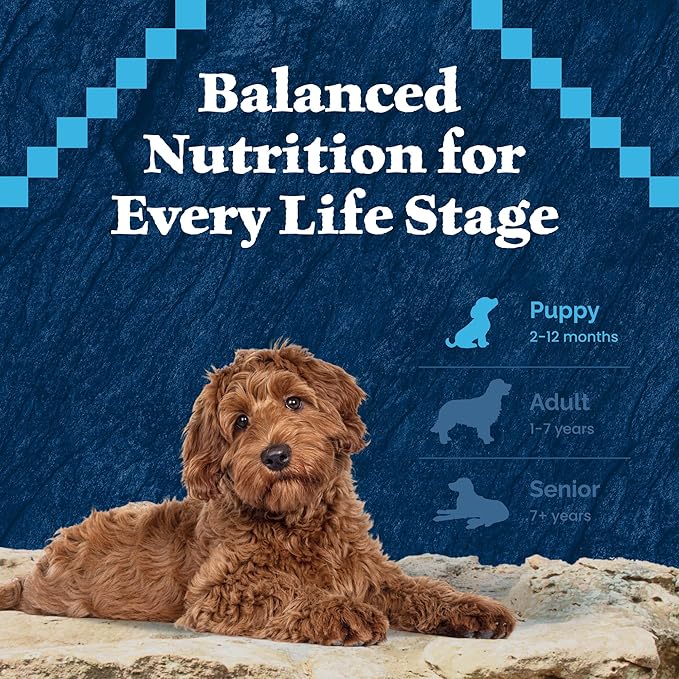 Blue Buffalo Wilderness High-Protein Natural Dry Food for Puppies, Chicken Recipe, 28-lb. Bag - PAWPICO