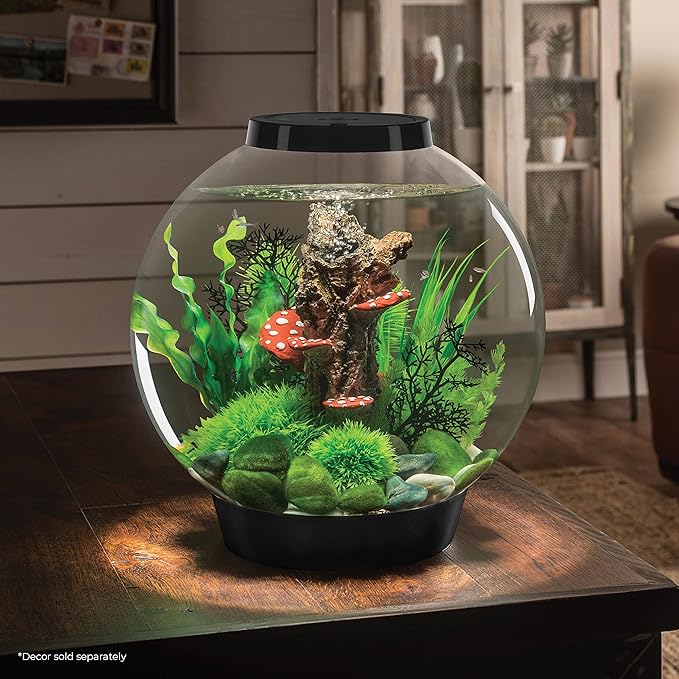 biOrb Classic 30 Acrylic 8-Gallon Aquarium with White LED Lights Modern Tank for Tabletop Display, Black biOrb