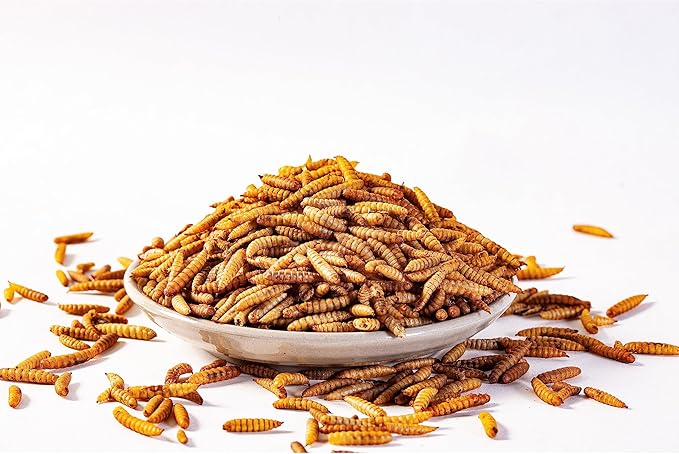 I LOVE WORMS Dried Black Soldier Fly Larvae (5lb), 100% Natural Non-GMO, Treat for Chickens, More Calcium Chicken Feed Than Mealworms ILOVEWORMS