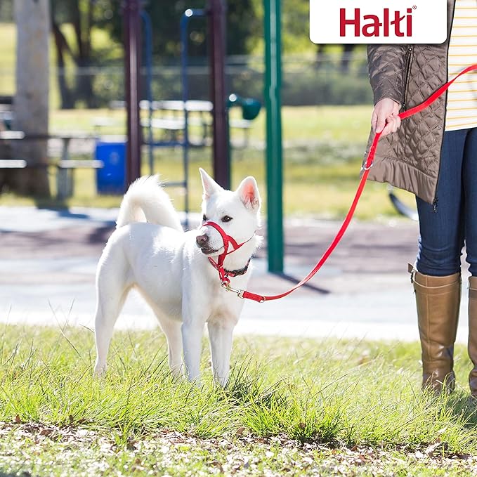 HALTI Training Leash - Multifunctional Double-Ended Dog Leash, Ideal for Anti-Pulling Dog Training. Easy to Use, Lightweight, Soft & Durable. Suitable for Puppies and Small Dogs (Size Small, Red) CompanyofAnimals