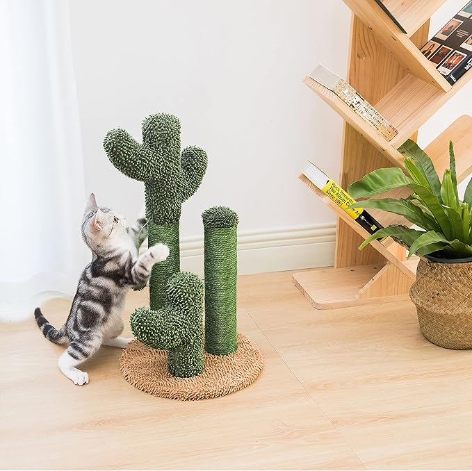 Pesofer Cactus Cat Scratching Post Cat Scratcher with 3 Scratching Poles and Dangling Ball for Kitten Medium - PAWPICO