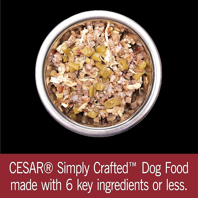 CESAR SIMPLY CRAFTED Adult Soft Wet Dog Food Meal Topper Beef, Chicken, Purple Potatoes, Green Beans & Red Rice, 1.3 oz. Tubs, (Pack of 10) - PAWPICO