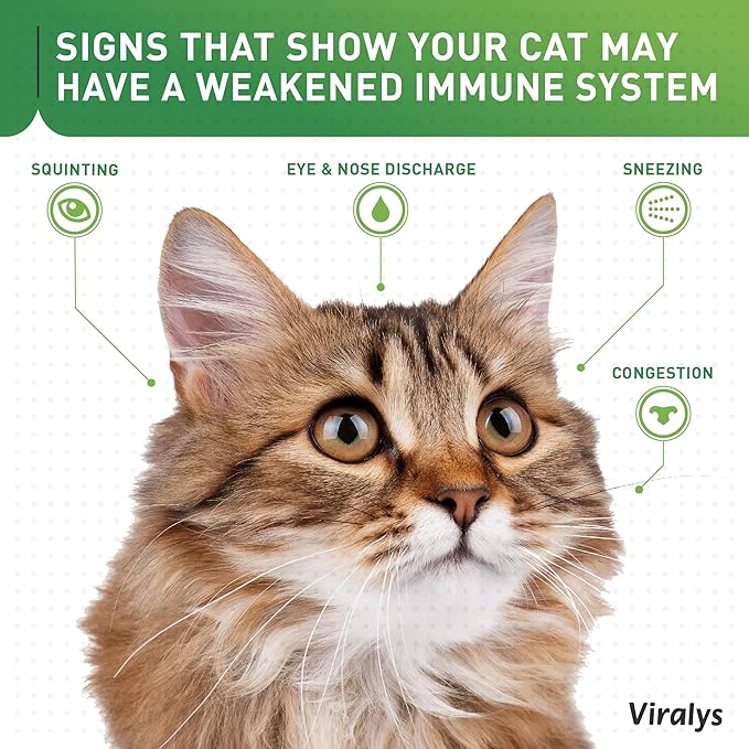 Vetoquinol Viralys L-Lysine Supplement for Cats - Cats & Kittens of All Ages - Immune Health - Sneezing, Runny Nose, Squinting, Watery Eyes - Flavored Lysine Powder Vetoquinol