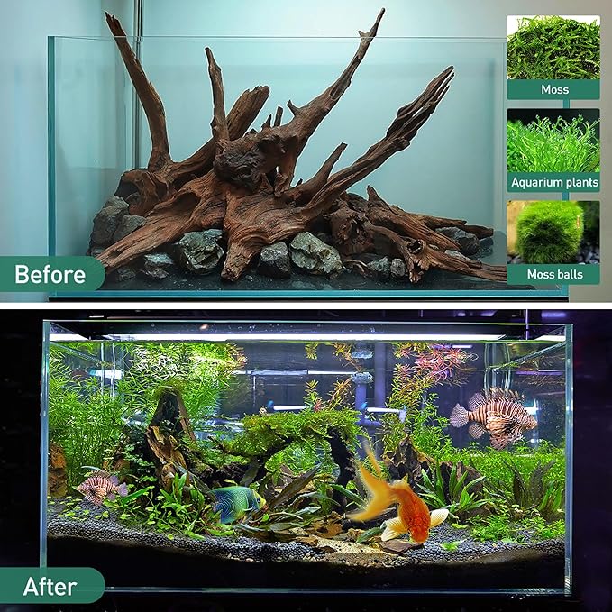 WDEFUN Natural Driftwood for Aquarium Decor, 3-Piece 7''-11'' Large Driftwood for Decorations on Fish Tank, Reptiles Bearded Dragon Accessories or Air Plants WDEFUN