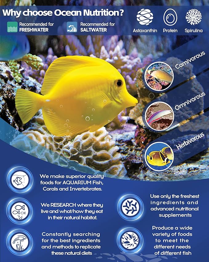 Ocean Nutrition Formula Two Pellets - Fish Food for Herbivorous & Omnivorous Marine Tropical Fish, High Protein(40%) - 3.5 oz (100 g) Small Pellets OceanNutrition
