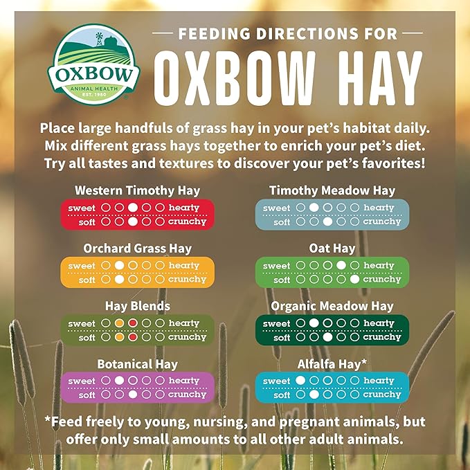Oxbow Animal Health Oxbow Botanical Western Timothy Hay - All Natural Hay for Rabbits, Guinea Pigs, Chinchillas, Hamsters & Gerbils - 15 oz. OxbowAnimalHealth