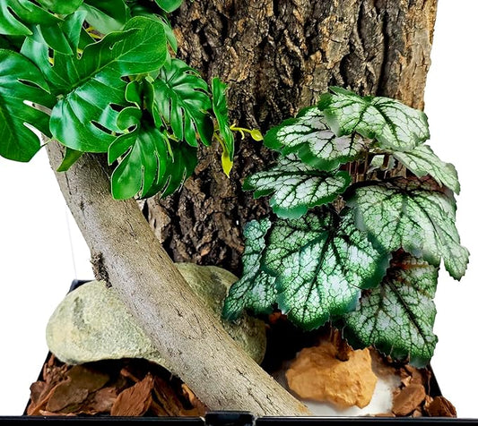 Woyrise Reptile Artificial Plants for Terrarium Decor, Amphibian Habitat Decorations Bearded Dragon Tank Accessories fit Crested Gecko Leopard Lizard Chameleon Snake Frog - Fake Green Heuchera Woyrise