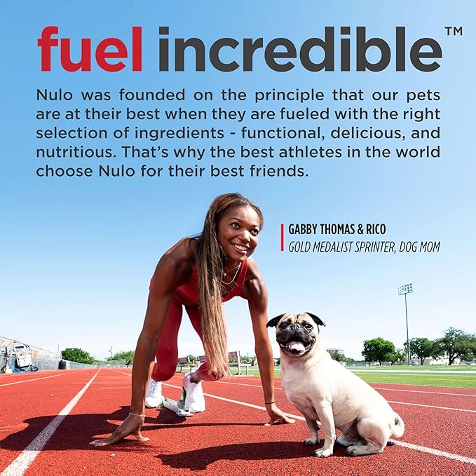 Nulo Freestyle Small Breed Dog Food, Premium Adult and Puppy Grain-Free Dry Smaller Sized Kibble Food, with BC30 Probiotic for Healthy Digestion Support, 6 Pound (Pack of 1) - PAWPICO
