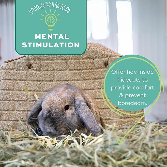 Oxbow Animal Health Western Timothy Hay - All Natural Hay for Rabbits, Guinea Pigs, Chinchillas, Hamsters & Gerbils- Made in the USA- Fiber Rich- Veterinarian Recommended - 25 lb. Bulk Size OxbowAnimalHealth