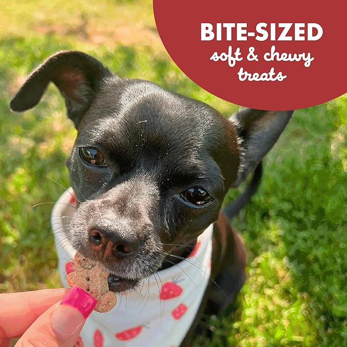 Buddy Biscuits Softies 5 oz Pouch, Grain-Free Soft & Chewy, Natural Grilled Beef Flavor Dog Treats, Oven Baked in The USA - PAWPICO
