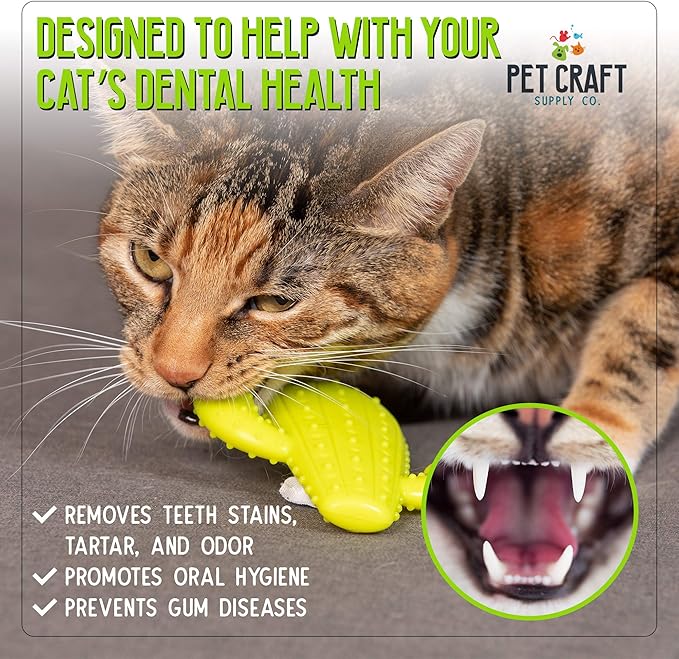 Pet Craft Supply Cactus Interactive Cat Toy Chew Toy Teeth Cleaning Bite Resistant 100% Natural Rubber with Bonus Catnip and Silvervine Bags for Kittens and Adult Cat - PAWPICO