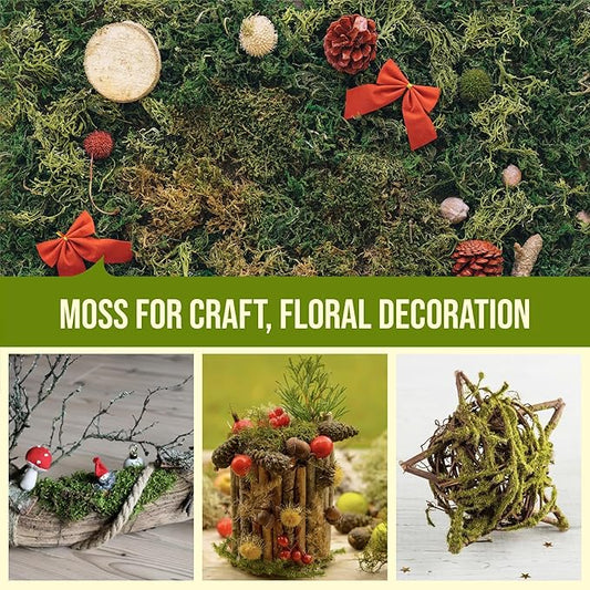 5Oz Moss for Reptiles, Moss for Terrarium, Sphagnum Moss, Reptile Bedding, Reptile Moss, Frog Moss, Snake Bedding, Moss for Turtle, Snail Substrate, Lizard Substrate, Substrate for Reptile Tank Gardenstory