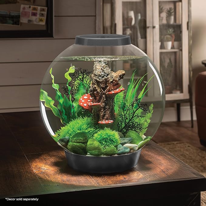 biOrb Classic 30 Acrylic 8-Gallon Aquarium with White LED Lights Modern Tank for Tabletop Display, Silver biOrb