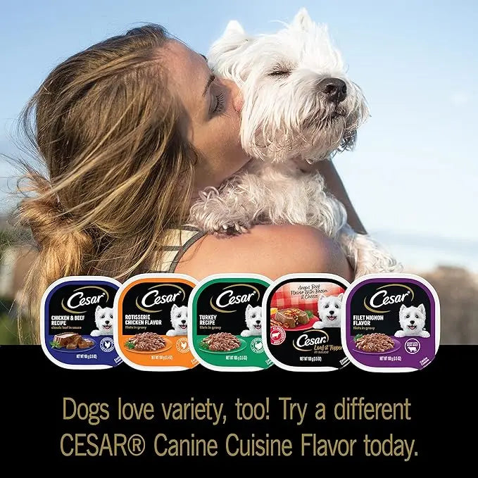 CESAR Adult Wet Dog Food Loaf in Sauce Rotisserie Chicken, Filet Mignon, Angus Beef, and Ham & Egg Flavors Variety Pack, 3.5 oz. Easy Peel Trays, Pack of 24 - PAWPICO